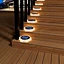 Solar light